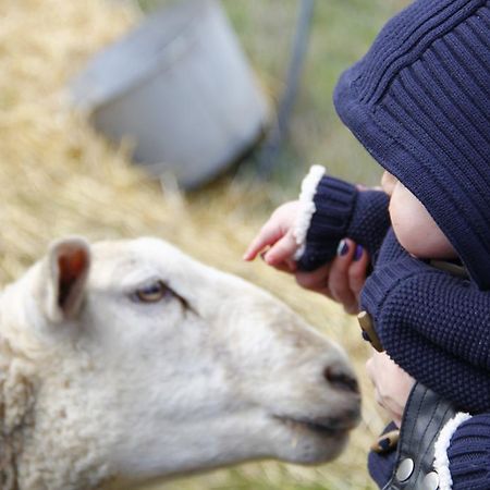 Вілла La Petite Ferme Des Vitoz Assieu Екстер'єр фото